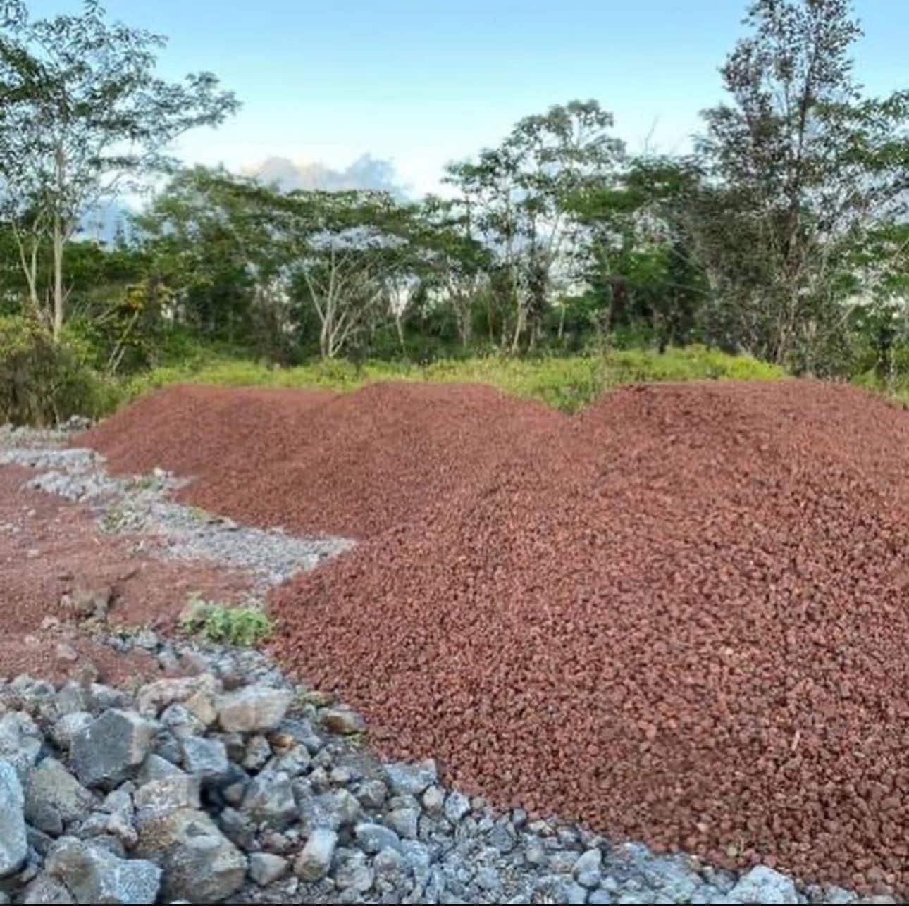 Piles of reddish-brown soil and rocks in a clearing with trees in the background.